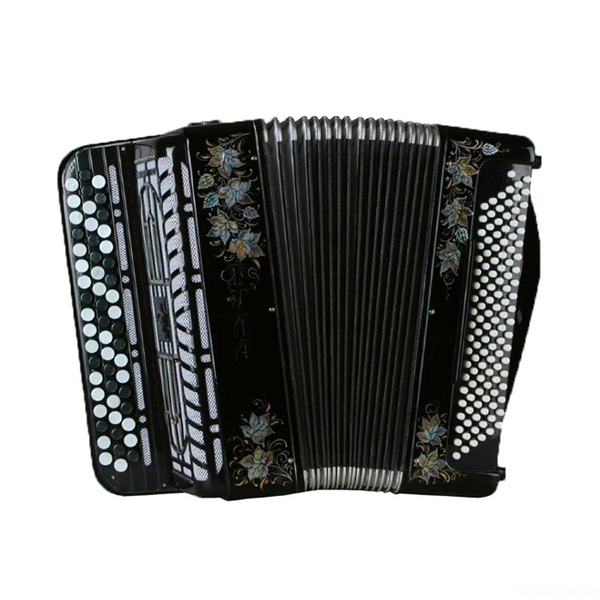 BN-53-BK Баян ученический двухголосный "Тула" 55х120/50-II, Тульская гармонь