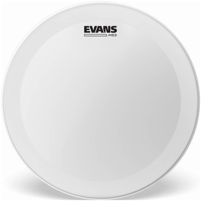 EVANS SS14MS3C - Пластик 14"