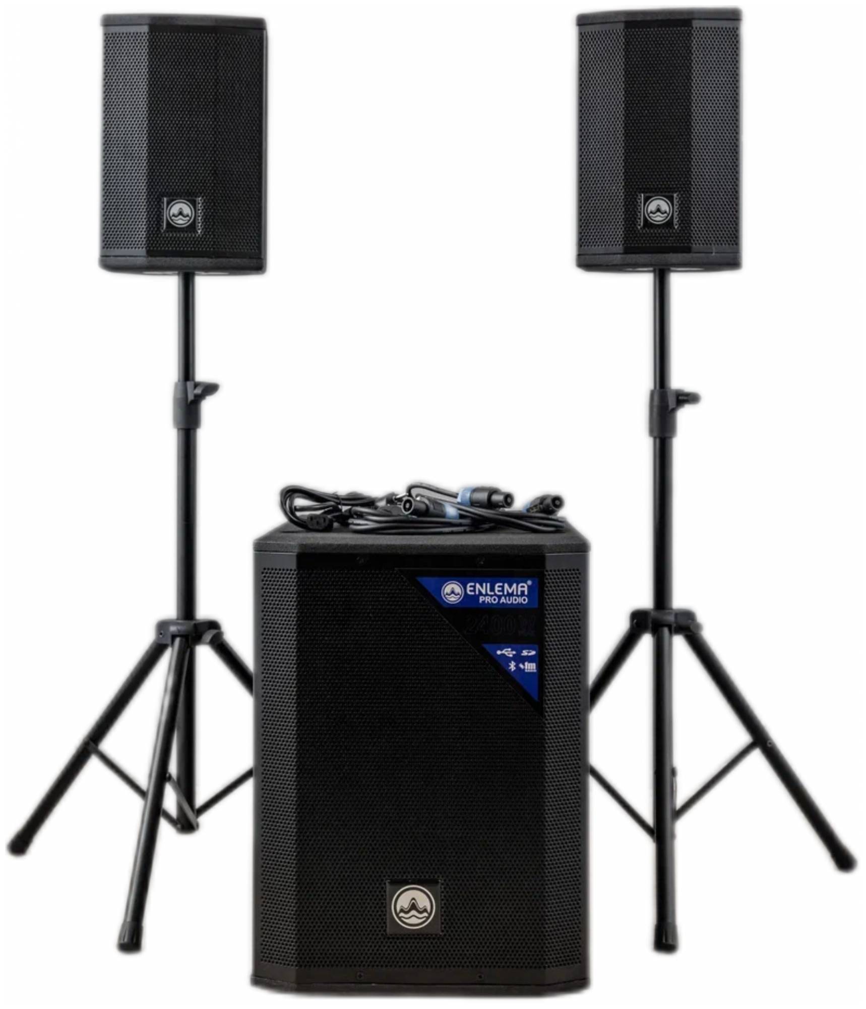 ENLEMA APS 1000 DSP - Акустическая система