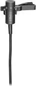 AUDIO-TECHNICA AT831cH - Микрофон петличный кардиоидный