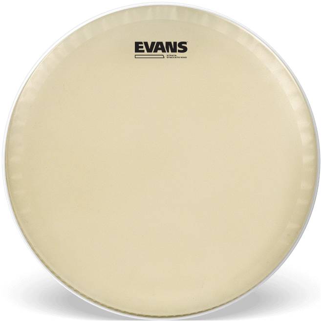 EVANS CT14SS - Пластик 14"