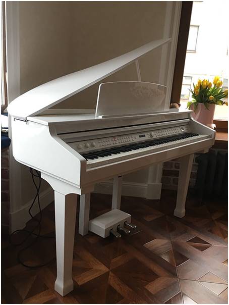ORLA Grand-120-WHITE Цифровой рояль, с автоаккомпанементом, белый, Orla