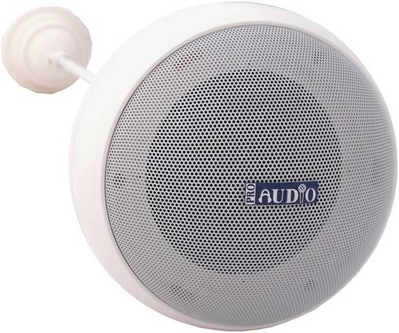 PROAUDIO BS-10 - Громкоговоритель