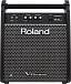 ROLAND PM-100 - Сценический монитор