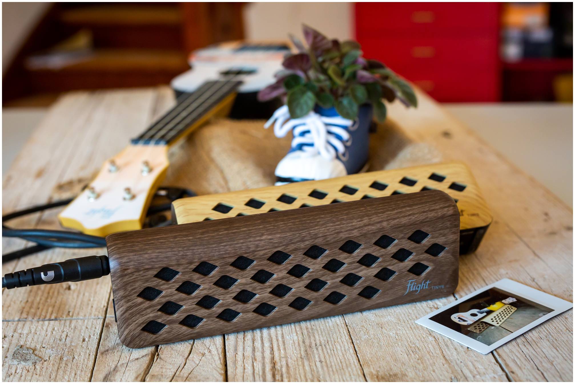 FLIGHT Tiny 6 Walnut - Комбоусилитель для укулеле