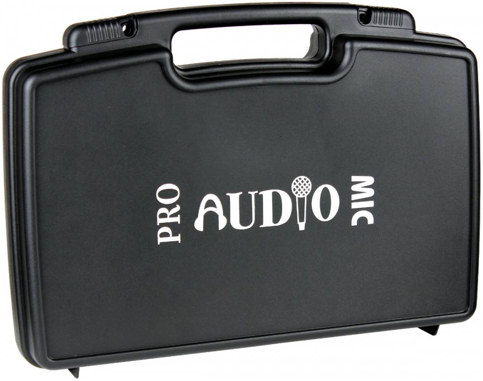 PROAUDIO DWS-204HT - Радиосистема