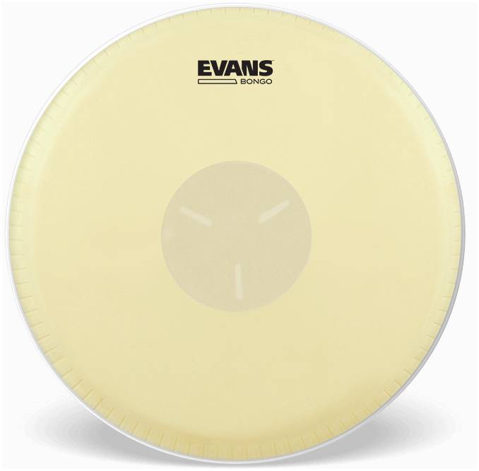 EVANS EB09 - Пластик