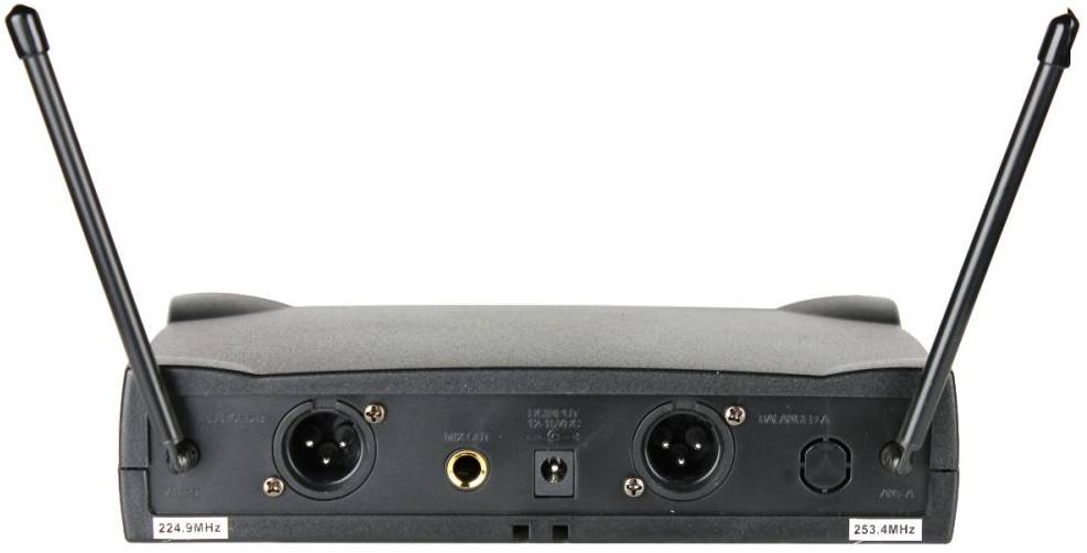 PROAUDIO DWS-204HT - Радиосистема