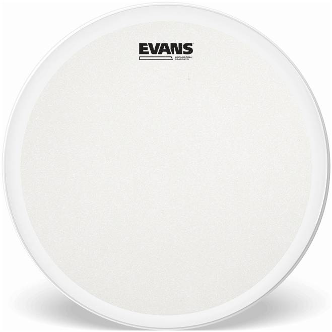 EVANS B14GCSS - Пластик 14"