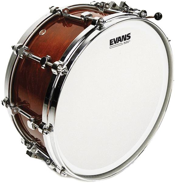 EVANS B14GCSS - Пластик 14"