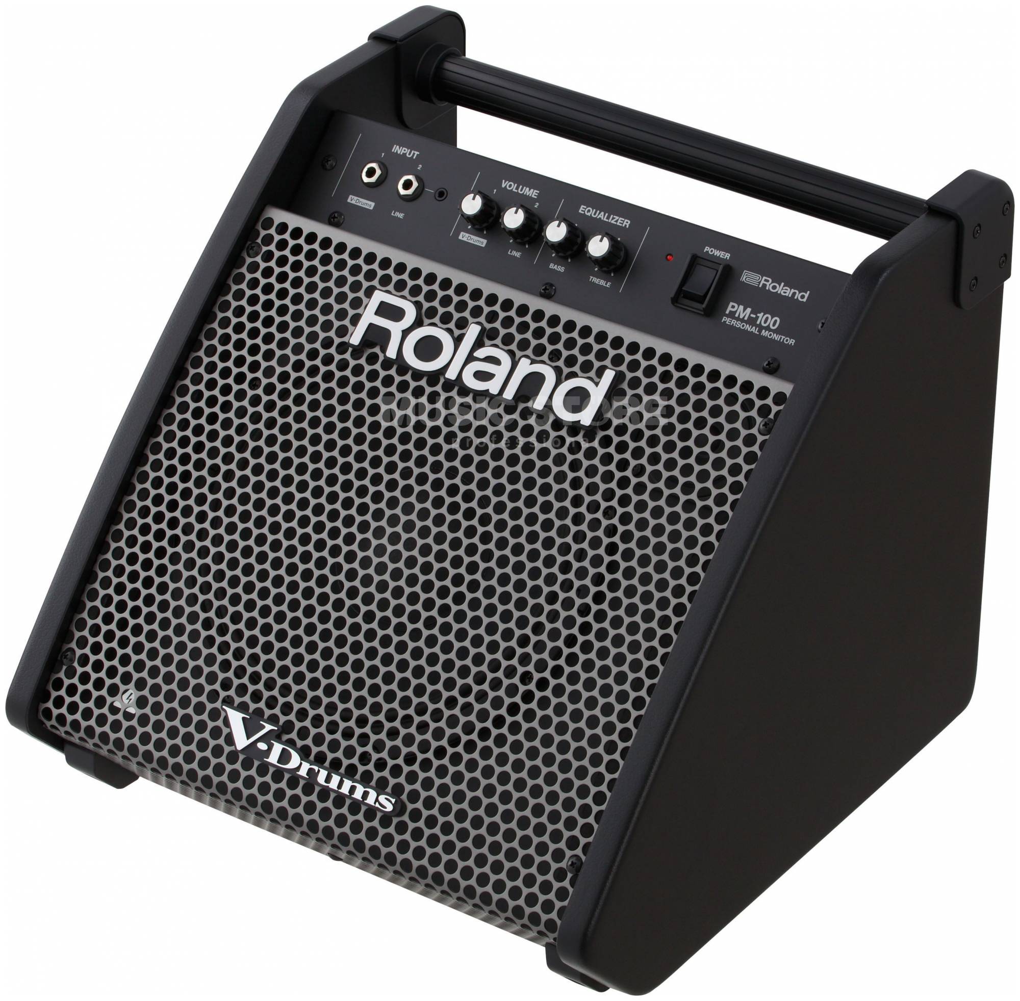 ROLAND PM-100 - Сценический монитор