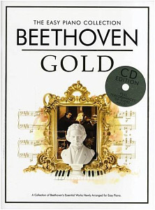 MUSIC SALES CH78683 - Книга с нотами / аккордами для клавишных