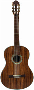 FLIGHT C-110 TEAK 4/4 - Гитара классическая 4/4
