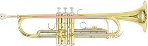 ROY BENSON TR-202 - Труба