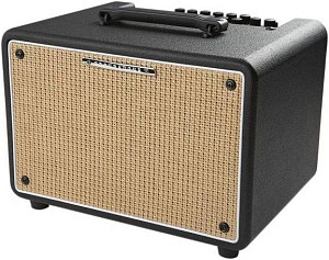 IBANEZ T30-U TROUBADOUR ACOUSTIC COMBO - Комбоусилитель для акустической гитары