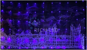 RICH LED RL-WF3*2C4/1-T/WW - Занавес
