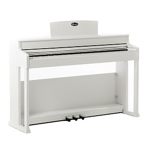 Beisite B-808 - Цифровое пианино на стойке с педалями
