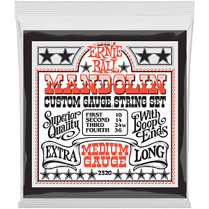 ERNIE BALL PO2320 Stainless Steel Medium 10-36 - Комплект струн для мандолины