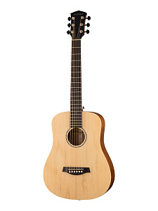 Parkwood S-Mini ADN - Акустическая гитара  3/4, с чехлом