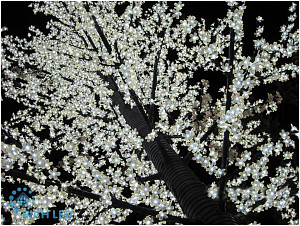 RICH LED RL-TRC24-350*250-2880-B - Светодиодное дерево