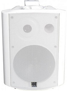 HK AUDIO IL 80-T W - Акустическая система