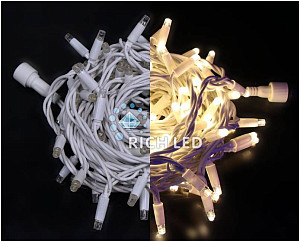 RICH LED RL-S10C-24V-RW/WW - Гирлянда