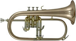 ROY BENSON FH-302 G - Флюгельгорн