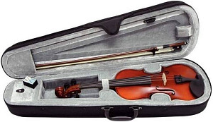 GEWAPure Violin Outfit EW 4/4 скрипка в комплекте (футляр, смычок, канифоль,...
