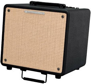 IBANEZ T80N-U TROUBADOUR ACOUSTIC COMBO - Комбоусилитель для акустической гитары