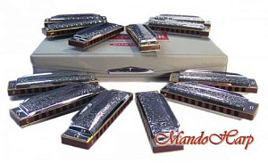 SUZUKI 1072-S Folkmaster Box Set - Губная гармоника диатоническая