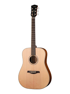 Parkwood S21-GT Акустическая гитара, дредноут, с чехлом, глянец