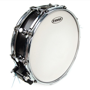 B12G1RD Power Center Reverse Dot Пластик для малого барабана 12'', Evans