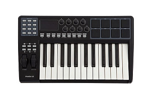 LAudio Panda-25C - MIDI-контроллер, 25 клавиш