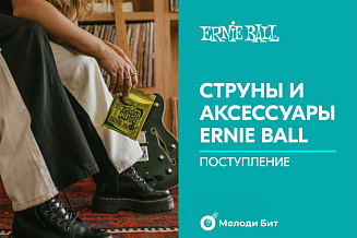 Поступление струн Ernie Ball