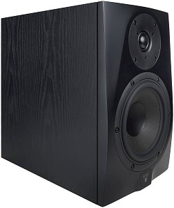ICON DT-6S - Студийный монитор