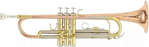 ROY BENSON TR-202 G - Труба