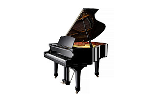 Young Chang YC158E BP Акустический рояль