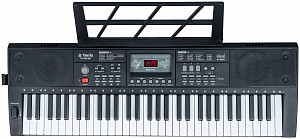 TERRIS TK-250 BK - Синтезатор