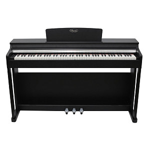 Beisite S-89 Pro BK - Цифровое пианино 