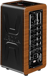 AROMA AG-60A - Комбоусилитель для акустической гитары
