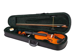 FLT-VP4/4 Скрипка в комплекте Fleet