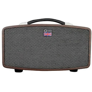 CARLSBRO STINGRAY D5 - Цифровой гитарный усилитель.
