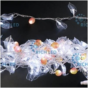 RICH LED RL-S1T10C-T/W - Гирлянда
