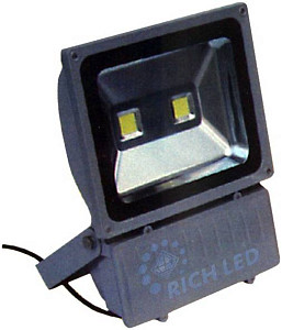 RICH LED RL-FL-12-100-W - Светодиодный прожектор