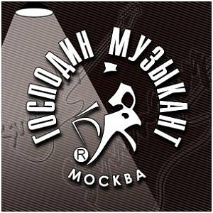 ГОСПОДИН МУЗЫКАНТ SP-16 - Струна одиночная для акустической и электрогитары