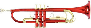 ROY BENSON TR-101 R - Труба
