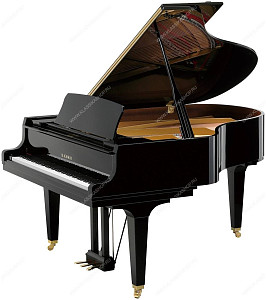 KAWAI GL-50 M/PEP - Рояль акустический
