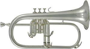 ROY BENSON FH-302 S - Флюгельгорн