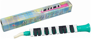 SWAN SW13J GR - Мелодика