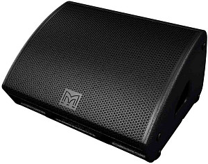 MARTIN AUDIO XE300 - Сценический монитор
